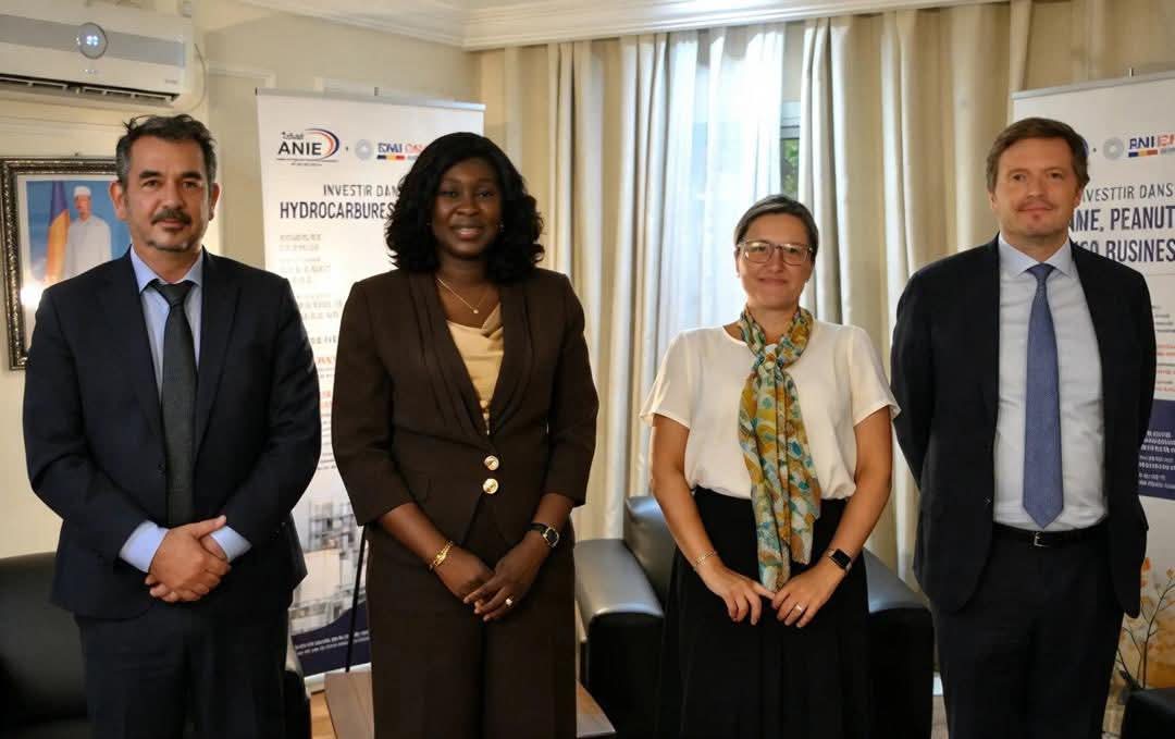 L'ANIE reçoit une mission du Fonds monétaire international (FMI)